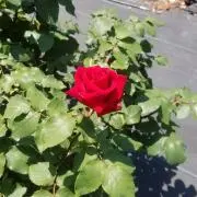 ～断捨離～プロフ必見