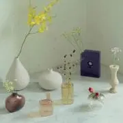 みいの画像