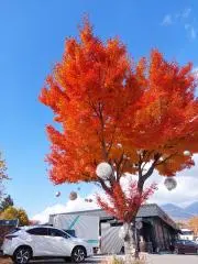 抹茶アイスの画像