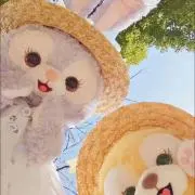 Ruruの画像