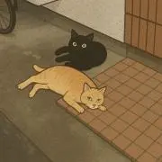 naaの画像
