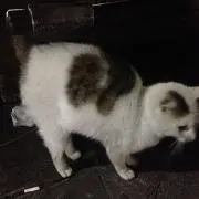 はるの画像