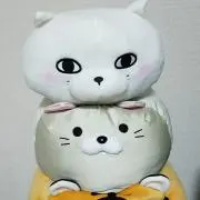 ネコ