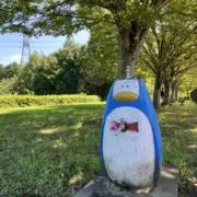saku15の画像