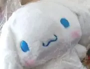 ありくいの画像
