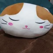 ぺんぎんの画像