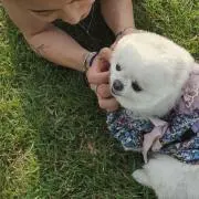 く む