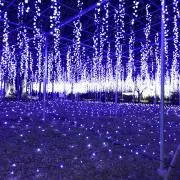 ともちゃんの画像