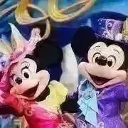 糖　〜即購入大歓迎です！〜の画像