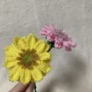 ゆきの画像