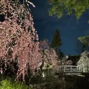 ゴルフ三昧の画像
