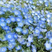 take :)♡の画像