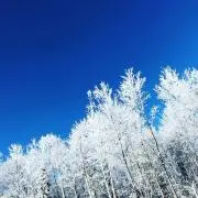 2の画像