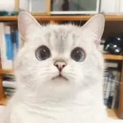kevin397326178の画像