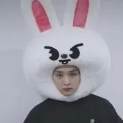おはなの画像
