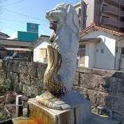 mizugamezakkaの画像