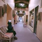 あおの画像