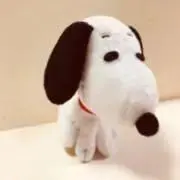 こたろう⭐︎プロフ確認お願いします⭐︎の画像