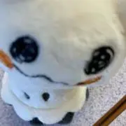 とまとの画像