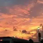 チョ