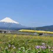 くらさん