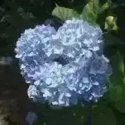 プロフ絶対読❗️リプニツカヤの画像