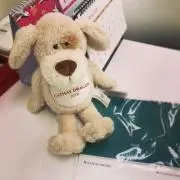 ウクレレの画像