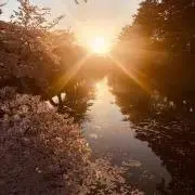 ひょいざぶろうの画像