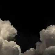 ポチタの画像