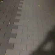 ゆーたの画像