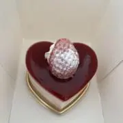 ねにの画像
