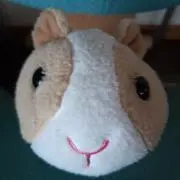 Image of にっき