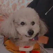 うっちゃんの画像