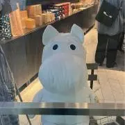 むーの画像