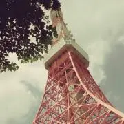 ちびの画像