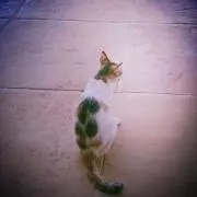 M♥