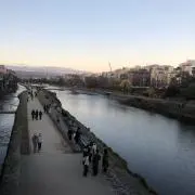 モナムールの画像