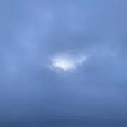 せき　猫がいますの画像