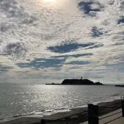 y_mの画像