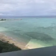 Haruの画像
