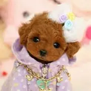 ♡まゆまゆ♡プロフ必読(≧∀≦)の画像