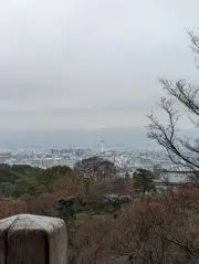 ゼノ  プロフィール必須の画像