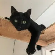 ととちろの画像