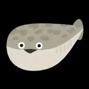 屡流嘩(るるか)の画像
