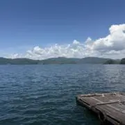 ゆうの画像