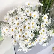 ⭐︎