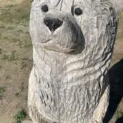 kayuunの画像
