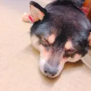 Nの画像