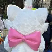 48の画像