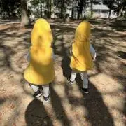 Haachanの画像